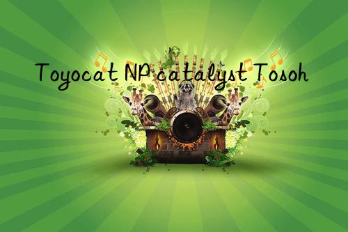 Toyocat NP catalyst  