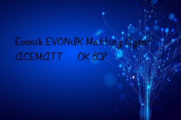 EVONIK Matting Agent ACEMATT® OK 607