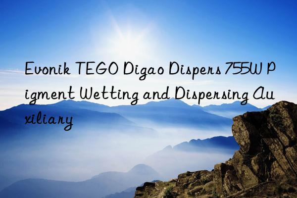  TEGO Digao Dispers 755W Pigment Wetting and Dispersing Auxiliary