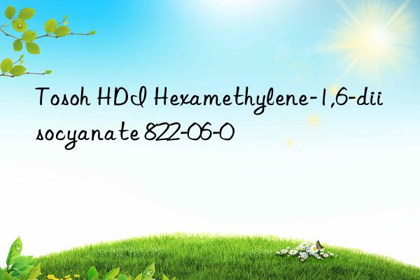  HDI Hexamethylene-1,6-diisocyanate 822-06-0