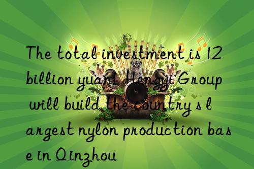 The total investment is 12 billion yuan! Hengyi Group will build the country s largest nylon production base in Qinzhou