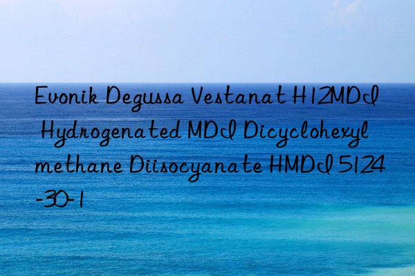 Degussa Vestanat H12MDI Hydrogenated MDI Dicyclohexylmethane Diisocyanate HMDI 5124-30-1