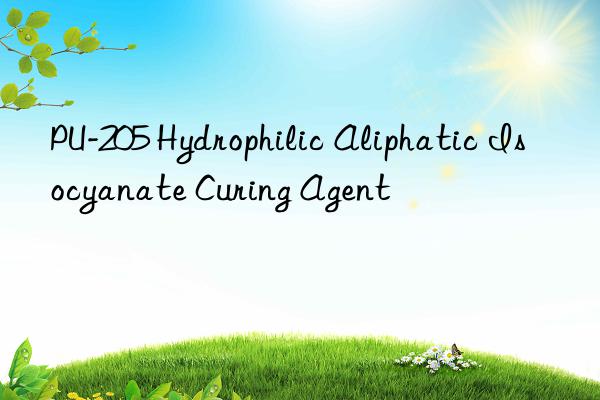 PU-205 Hydrophilic Aliphatic Isocyanate Curing Agent
