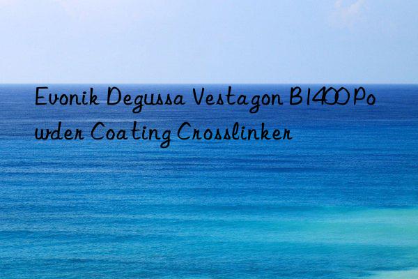Degussa Vestagon B1400 Powder Coating Crosslinker