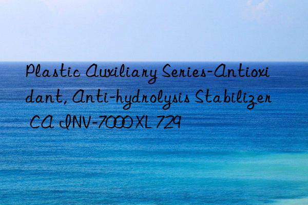 Plastic Auxiliary Series-Antioxidant, Anti-hydrolysis Stabilizer CA INV-7000 XL 729