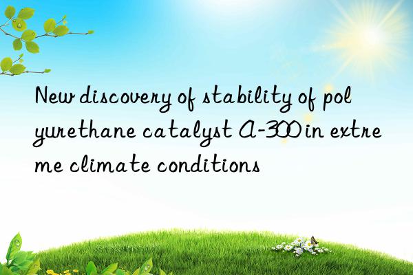 New discovery of stability of polyurethane catalyst A-300 in extreme climate conditions