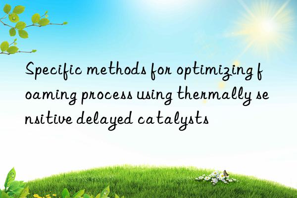 Specific methods for optimizing foaming process using thermally sensitive delayed catalysts