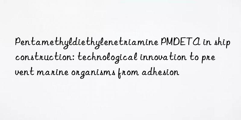 Pentamethyldiethylenetriamine PMDETA in ship construction: technological innovation to prevent marine organisms from adhesion