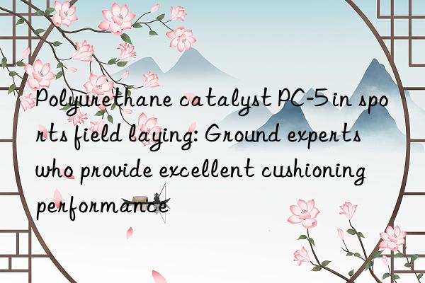 Polyurethane catalyst PC-5 in sports field laying: Ground experts who provide excellent cushioning performance