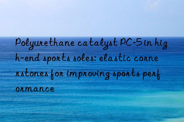 Polyurethane catalyst PC-5 in high-end sports soles: elastic cornerstones for improving sports performance