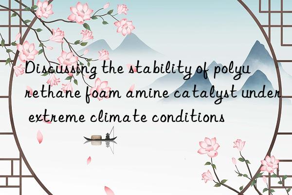 Discussing the stability of polyurethane foam amine catalyst under extreme climate conditions