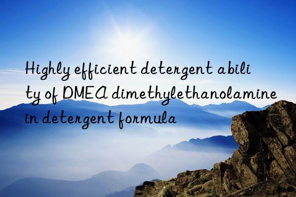 Highly efficient detergent ability of DMEA dimethylethanolamine in detergent formula