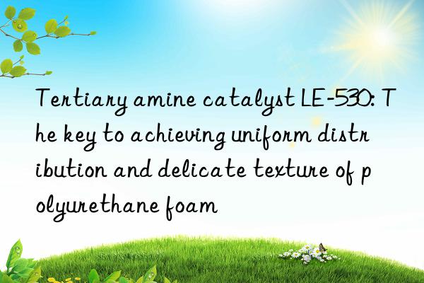 Tertiary amine catalyst LE-530: The key to achieving uniform distribution and delicate texture of polyurethane foam