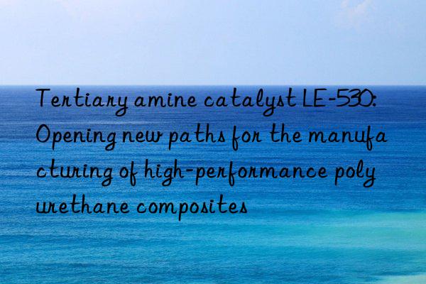 Tertiary amine catalyst LE-530: Opening new paths for the manufacturing of high-performance polyurethane composites