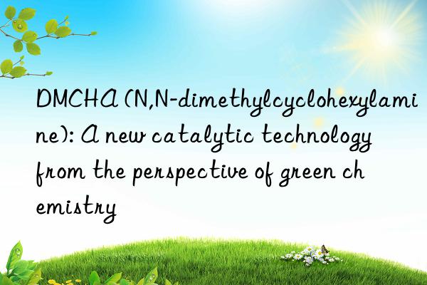 DMCHA (N,N-dimethylcyclohexylamine): A new catalytic technology from the perspective of green chemistry