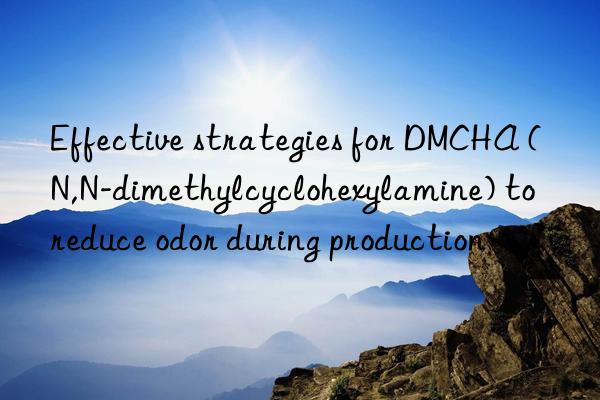 Effective strategies for DMCHA (N,N-dimethylcyclohexylamine) to reduce odor during production