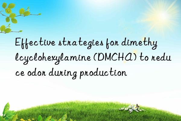 Effective strategies for dimethylcyclohexylamine (DMCHA) to reduce odor during production
