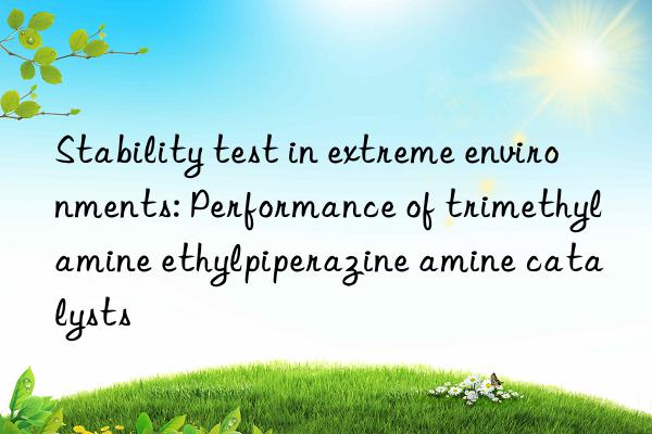 Stability test in extreme environments: Performance of trimethylamine ethylpiperazine amine catalysts