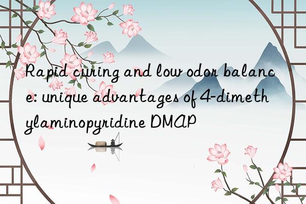 Rapid curing and low odor balance: unique advantages of 4-dimethylaminopyridine DMAP