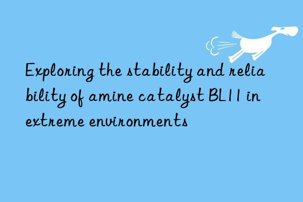 Exploring the stability and reliability of amine catalyst BL11 in extreme environments