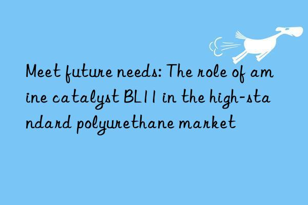 Meet future needs: The role of amine catalyst BL11 in the high-standard polyurethane market