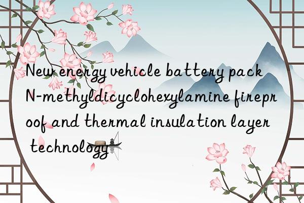 New energy vehicle battery pack N-methyldicyclohexylamine fireproof and thermal insulation layer technology