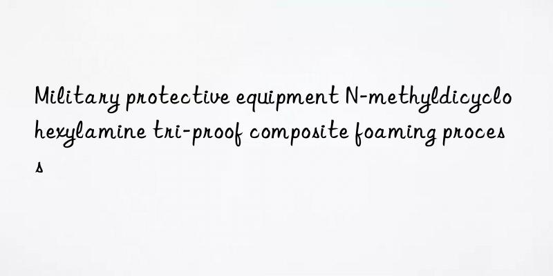 Military protective equipment N-methyldicyclohexylamine tri-proof composite foaming process