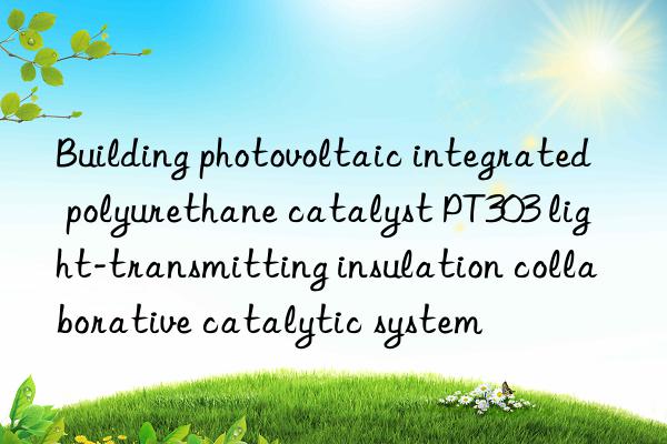 Building photovoltaic integrated polyurethane catalyst PT303 light-transmitting insulation collaborative catalytic system