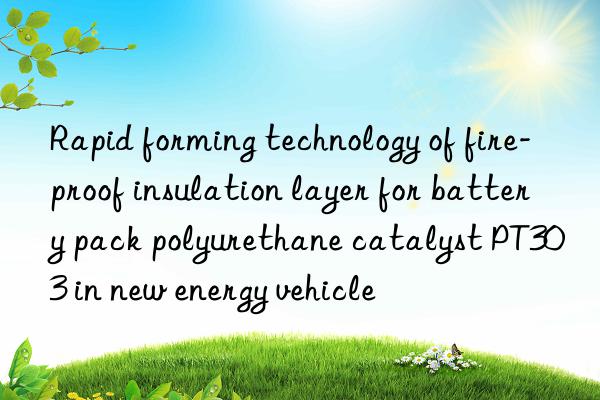 Rapid forming technology of fire-proof insulation layer for battery pack polyurethane catalyst PT303 in new energy vehicle