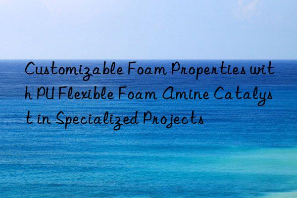 Customizable Foam Properties with PU Flexible Foam Amine Catalyst in Specialized Projects