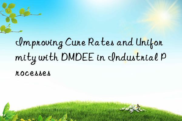 Improving Cure Rates and Uniformity with DMDEE in Industrial Processes
