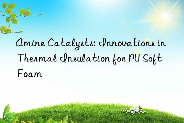 Amine Catalysts: Innovations in Thermal Insulation for PU Soft Foam