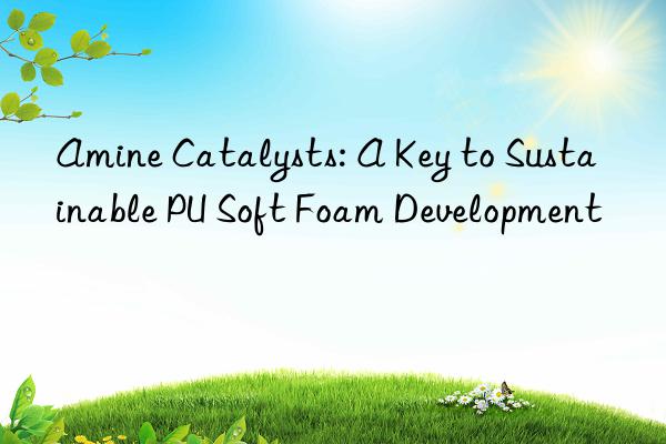 Amine Catalysts: A Key to Sustainable PU Soft Foam Development