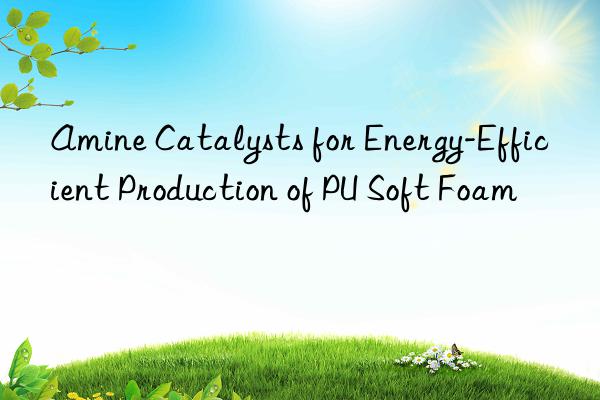 Amine Catalysts for Energy-Efficient Production of PU Soft Foam