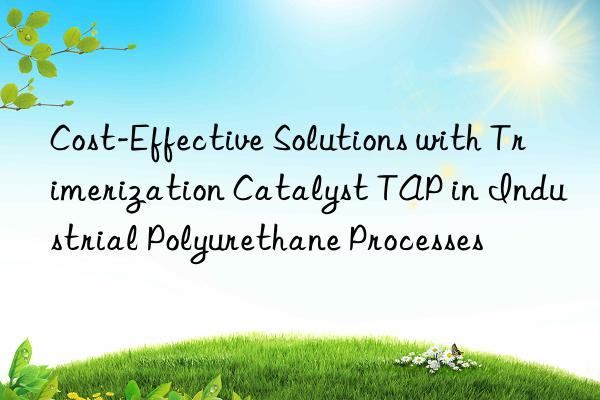 Cost-Effective Solutions with Trimerization Catalyst TAP in Industrial Polyurethane Processes