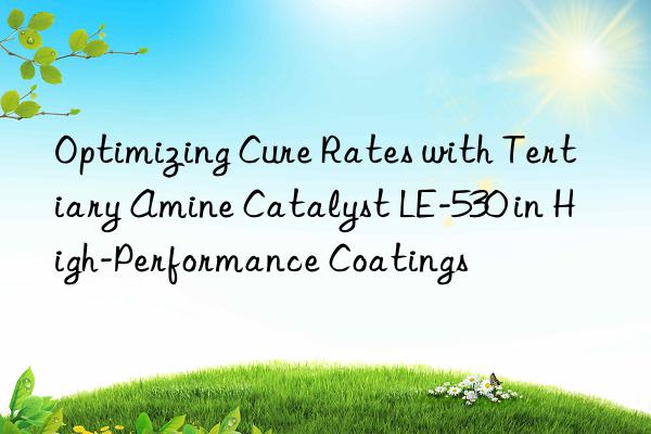 Optimizing Cure Rates with Tertiary Amine Catalyst LE-530 in High-Performance Coatings