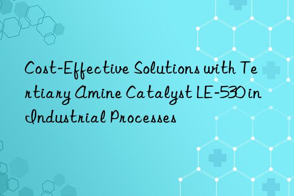 Cost-Effective Solutions with Tertiary Amine Catalyst LE-530 in Industrial Processes