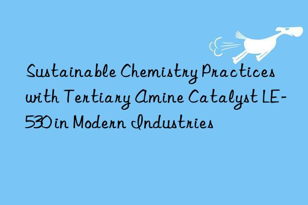 Sustainable Chemistry Practices with Tertiary Amine Catalyst LE-530 in Modern Industries