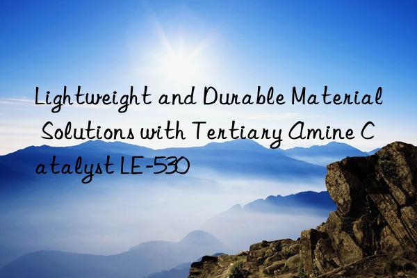 Lightweight and Durable Material Solutions with Tertiary Amine Catalyst LE-530