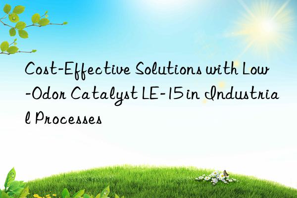 Cost-Effective Solutions with Low-Odor Catalyst LE-15 in Industrial Processes
