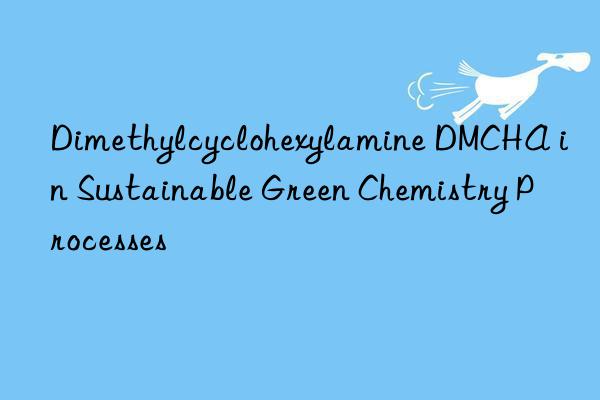 Dimethylcyclohexylamine DMCHA in Sustainable Green Chemistry Processes