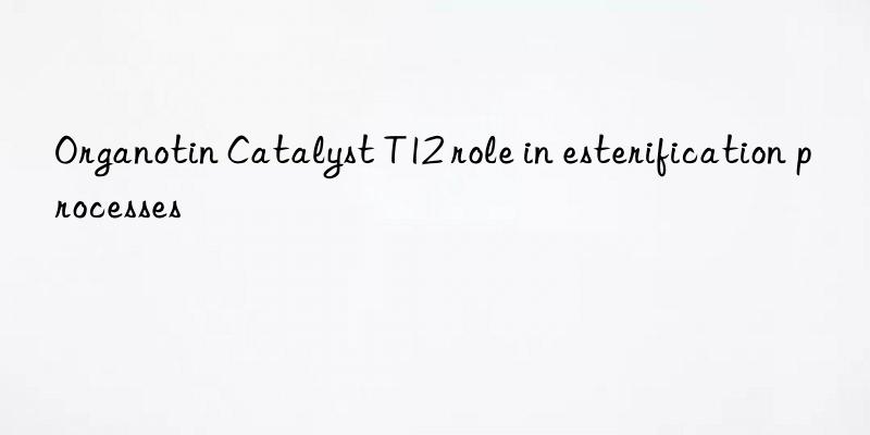 Organotin Catalyst T12 role in esterification processes