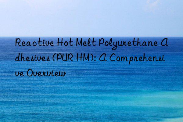 Reactive Hot Melt Polyurethane Adhesives (PUR HM): A Comprehensive Overview