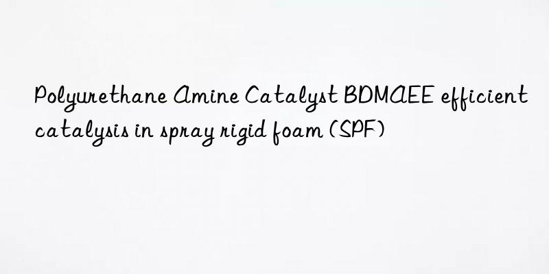 Polyurethane Amine Catalyst BDMAEE efficient catalysis in spray rigid foam (SPF)