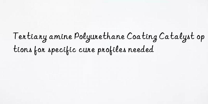 Tertiary amine Polyurethane Coating Catalyst options for specific cure profiles needed