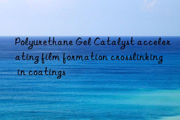 Polyurethane Gel Catalyst accelerating film formation crosslinking in coatings