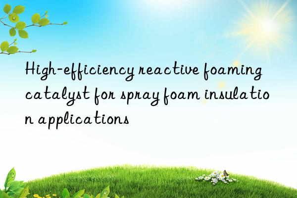 High-efficiency reactive foaming catalyst for spray foam insulation applications