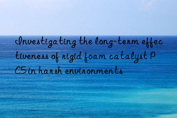 Investigating the long-term effectiveness of rigid foam catalyst PC5 in harsh environments