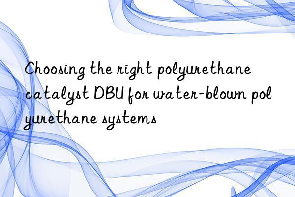 Choosing the right polyurethane catalyst DBU for water-blown polyurethane systems