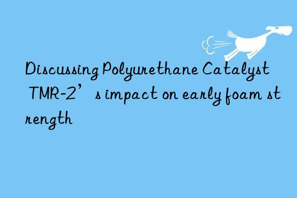 Discussing Polyurethane Catalyst TMR-2’s impact on early foam strength